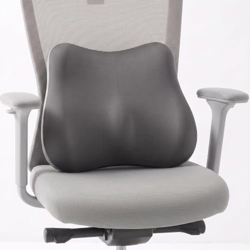 Lumbar Support Pillow, Ergonomic Memory Foam Back Cushion for Car Office Chair Gaming Chair, Washable Cool-Touch Cover for Lower Back Support (Dark Grey) - color: Dark Grey