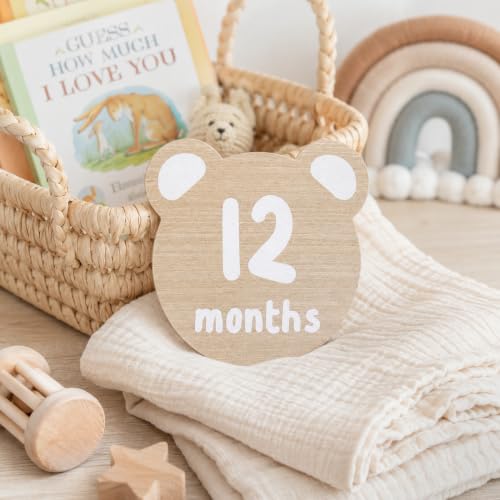 Kate & Milo Teddy Bear Baby Milestone Marker Discs, 1-12 Months - color: Bear