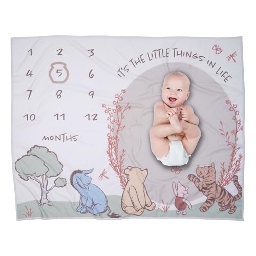 Lambs & Ivy Disney Pooh Bear & Pals Photo OPP Milestone Fleece Baby Blanket - color: Pooh Bear