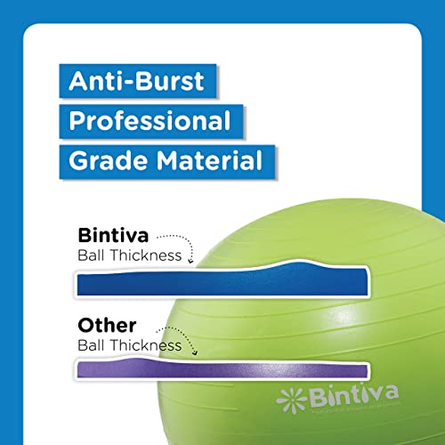 bintiva Exercise Ball - color: Black, size: M (58-65cm)