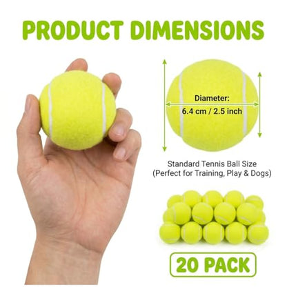Tebery 20 Pack Advanced Training Tennis Balls, Practice Ball for Beginners with Mesh Bag, Pet Dog Playing Balls for Backyard Play, Exercise - color: Green