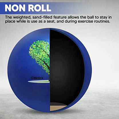 bintiva Exercise Ball - color: Stabilizing Sand - Blue, size: S (50-55cm)
