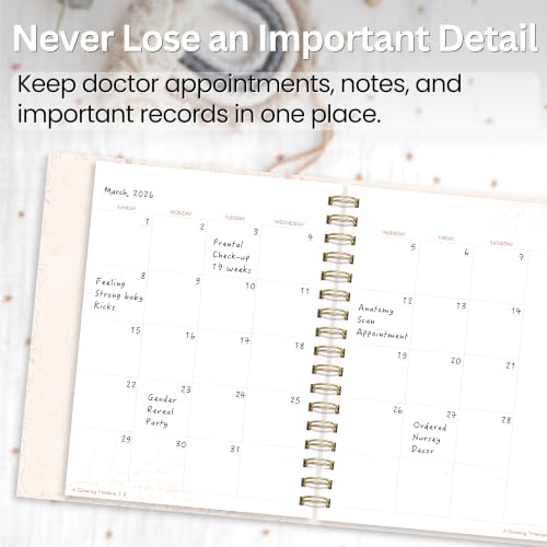 Pregnancy Journal & Memory Book for First-Time Moms
