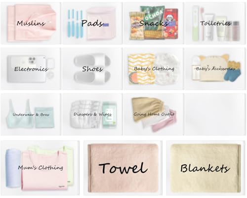 Hospital Bag for Women Labor Delivery, Diaper Organizer Pouches, 20 Pack