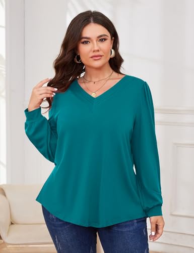 TFSDOD Plus Size Tops for Women Long Sleeve V Neck Shirts Dressy Casual Blouse Loose Fit Basic Tee Tshirt(1X-5X) - color: Peacock Blue, size: 3X-Large Plus