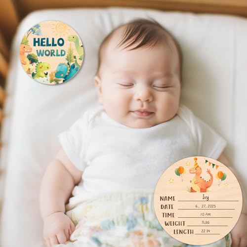 Baby Monthly Milestone, Dinosaur Monthly Milestone Sign, Newborn Gift 13Pcs - color: Dinosaur1