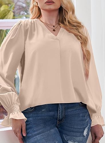 Eytino Women's Plus Size Long Sleeve Tops V Neck Chiffon Blouse - color: Apricot, size: 2X