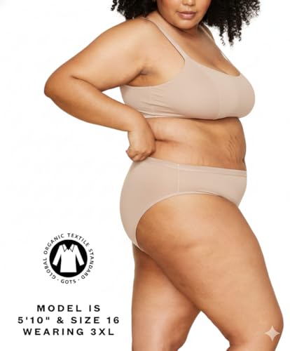 Subset Women's Organic Cotton Mid-Rise Bikini, Knickey Underwear, Single - color: Stone, size: Medium