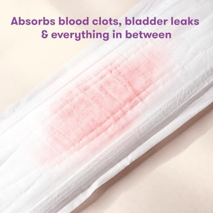Frida Mom Postpartum Pads, Leak Proof Feminine Care Maxi Pads, 6 Layers - size: 1 Count (Pack of 18)