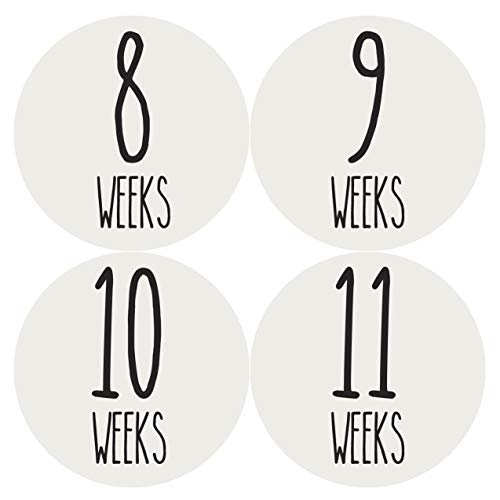 Pregnancy Growth Stickers | Week to Week Pregnant Expecting Photo Prop | Maternity Keepsake | Baby Bump | Weekly Stickers Photo (Set of 36)