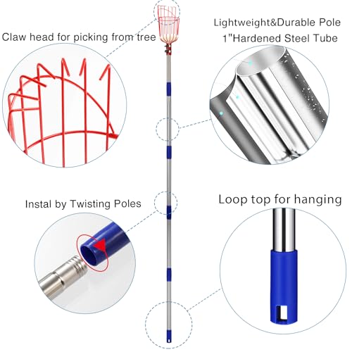 DonSail DnSail Fruit Picker Pole Tool with Basket Telescoping - Adjustable Mango Picker 35-68 inch Long Handle - Apple Orange Avocado Acorn Lemon Pear Pomelo Chery Picker for Tree - size: 35-68"