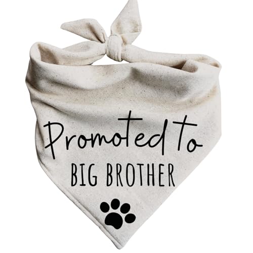 Dog Bandanas Promoted to Big Brother Pregnancy Announcement Baby Reveal Oatmeal Beige Minimal (X-Small) - size: X-Small