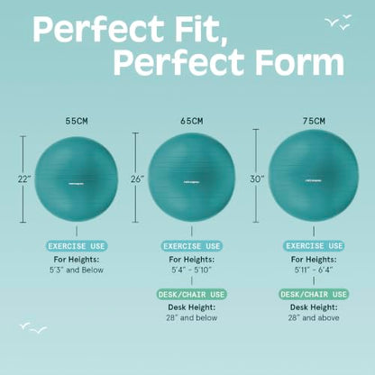 Retrospec Retrospec Luna Exercise Ball - color: Turquoise