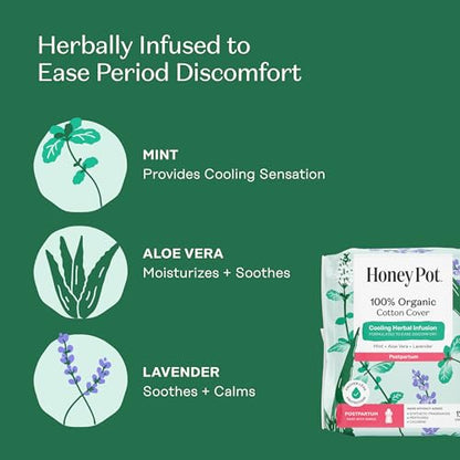 The Honey Pot Company - Cooling - Postpartum Pads - Postpartum Essentials - size: 48 Count (Pack of 1)