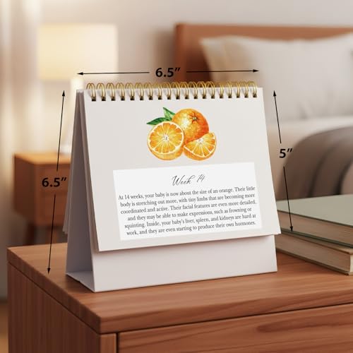 Gueevin Pregnancy Calendar for First Time Moms Weekly Baby Growth Gift