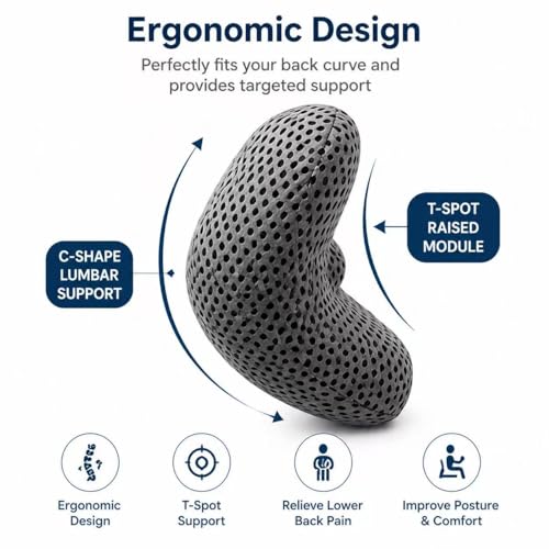 Ergonomic Lumbar Support Pillow, Memory Foam Back Cushion - color: Gray