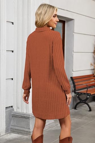 Halife Women's Fall Dresses Long Sleeve Tunic Sweater Dress with Zippers - color: Caramel, size: Small