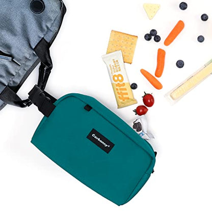 Cerbonny Freezable Snack Bag,Built-In Ice Pack,Mini Cooler Bag - color: blue-1