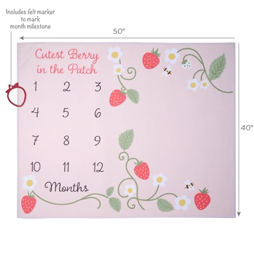 Lambs & Ivy Strawberry Patch Milestone Photo Opportunity Baby Blanket - color: Strawberry