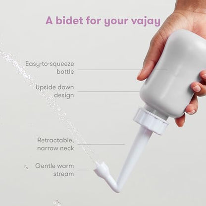 Frida Mom Upside Down Peri Bottle Sprayer for Postpartum Care w/ Bag, Gray - color: Gray