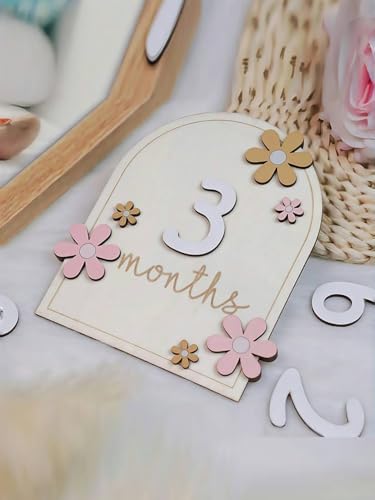 A Set of Baby Monthly Milestone Signs,Newborn 1-12 Months Wooden Milestone Markers, Baby Growth Record Photo Atmosphere Props, Memorial Photo Prop,Babygirl Boy Essentials - color: Arched + Daisy Flowers