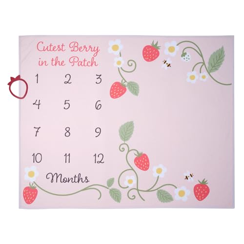 Lambs & Ivy Strawberry Patch Milestone Photo Opportunity Baby Blanket - color: Strawberry