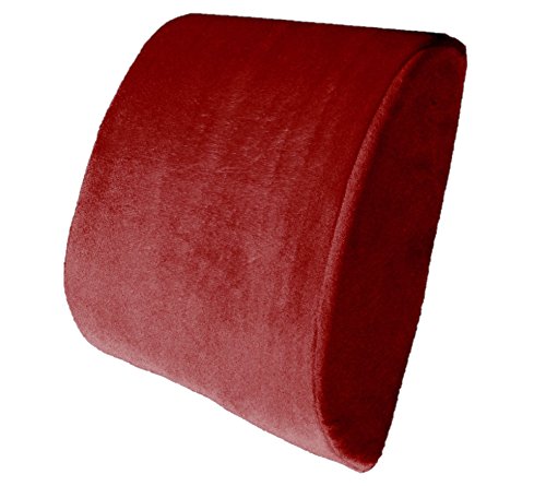 Bookishbunny Premium Memory Foam Lumbar Support Cushion Pillow (Burgundy) - color: Burgundy