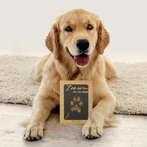 DeerZone Inkless Paw Print Kit,Dog Paw Print Kit,Dog Nose Print Kit - color: Gold/Black, size: Medium-Large 4 Pack