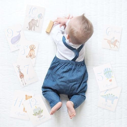 Baby First Holiday Cards,First Year Cards,Monthly Milestone Baby Shower