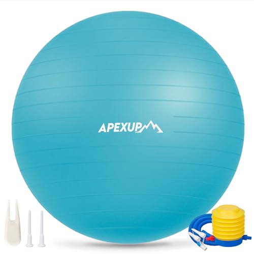 APEXUP Yoga Ball, 660 lbs Anti-Burst Exercise Ball with Pump, 5 Sizes - color: Light Blue, size: M (19"~22") 55cm