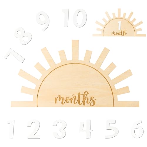 R HORSE Baby Monthly Milestone Card with Number Cards