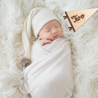 Baby Monthly Milestone Pennant Signs