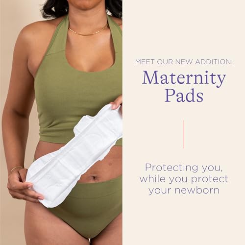 Lansinoh Postpartum Maxi Pads Bundle, 40 Count - size: 40 Count (Pack of 1)