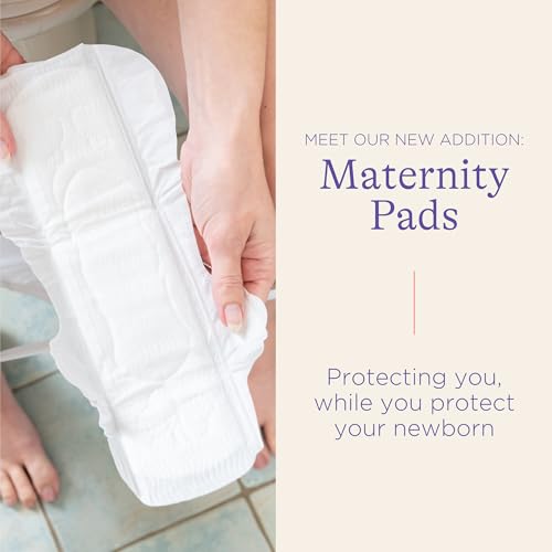 Lansinoh Postpartum Maxi Pads Bundle, Heavy Absorbency Overnight Pads with Wings, Includes 2 Sizes for Extra Protection, Postpartum Essentials, 40 Count (Pack of 2) - size: 40 Count (Pack of 2)
