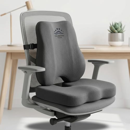 Lumbar Support Pillow & Seat Cushion for Office Chairs, Gray