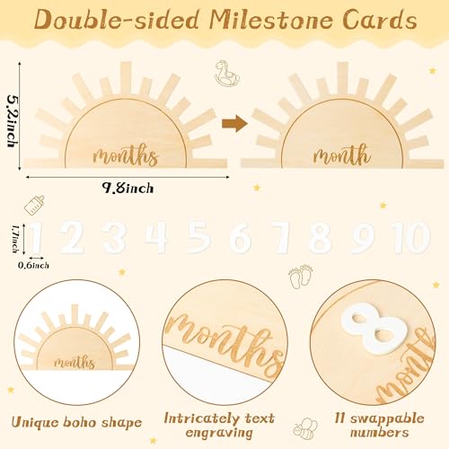 R HORSE Baby Monthly Milestone Card with Number Cards