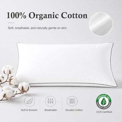 DWR Goose Feather Down Body Pillow, Organic Cotton, Medium, 20x54, 1 Pack - size: Body Pillow Only