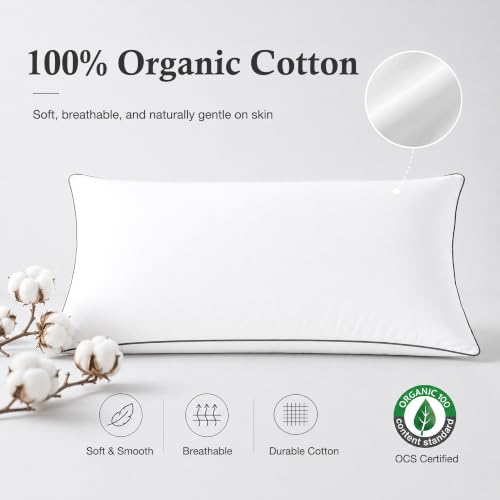 DWR Goose Feather Down Body Pillow with Silver Gray Pillowcase, 20x54 - size: Body Pillow & Protector