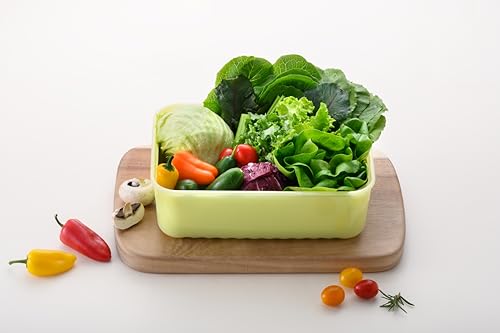 LocknLock Fresh-Block Plastic Food Storage Container | Produce Storage Containers for Fridge | Vegetable & Fruit Storage Containers for Fridge, Storage, Microwave & Dishwasher Safe, 3.2L - size: 3.2L