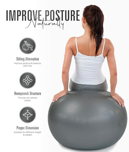 ROMIX Exercise Ball, Anti-Burst Yoga and Birthing Ball with Pump, Home Use - color: Silver