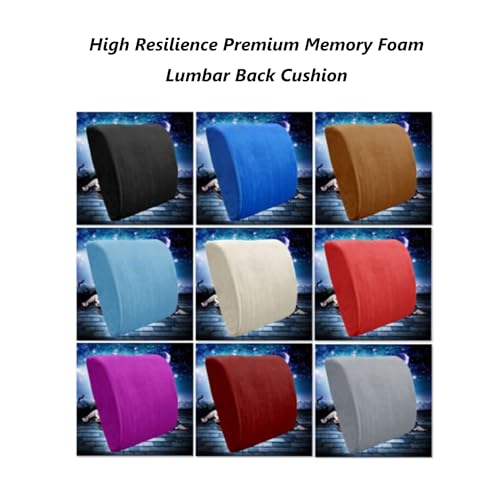 Bookishbunny Premium Memory Foam Lumbar Support Cushion Pillow (Burgundy) - color: Burgundy