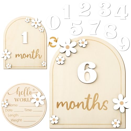 Baby Monthly Milestone Cards with Hello World Newborn Sign