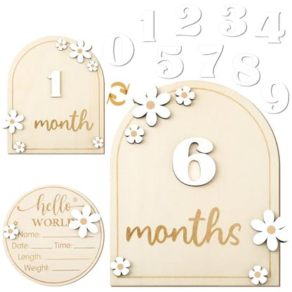 Baby Monthly Milestone Cards with Hello World Newborn Sign