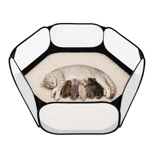 Cat Birthing Box - Whelping Box for Pregnant Cats & Dogs, Portable Foldable Whelping Pool for Pet with Storage Bag