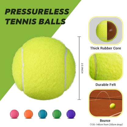 INSUM Bulk Tennis Balls, Extra Duty Practice Balls with Mesh Bag - color: Mixed, size: 30 Pack