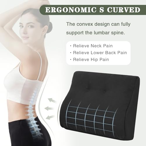 baibu Patented Dual-Layer Memory Foam Lumbar Pillow for Recliner, Black - color: Black
