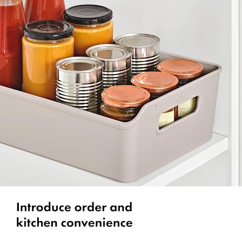 OXO Good Grips Pantry Storage Bin - style: Storage Bin