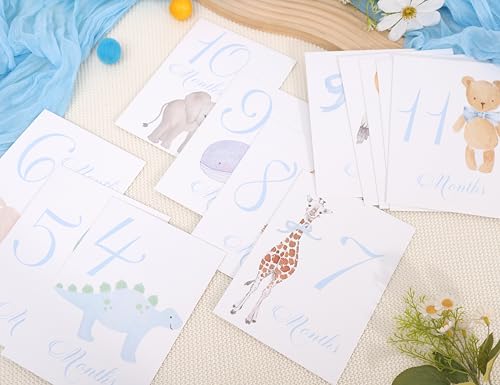 Baby First Holiday Cards,First Year Cards,Monthly Milestone Baby Shower