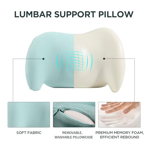 Lumbar Support Pillow for Office Chair, Memory Foam Car Back Cushion - color: Green