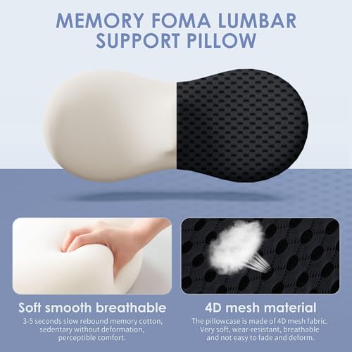 kasney Lumbar Support Pillow for Office Chair, Back Pillow, Black - color: Black